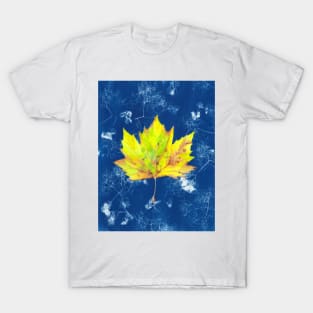 Yellow watercolour autumn leaf on a blue cyanotype background T-Shirt